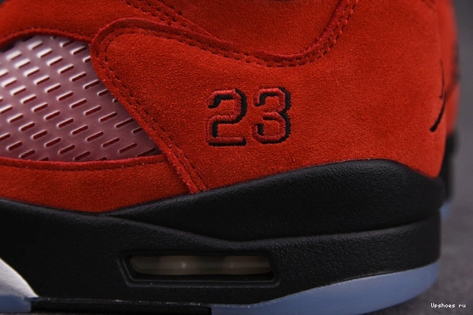 DD0587-600 Bulls Jordan Raging 5 (2021) Retro Red AIR 1008